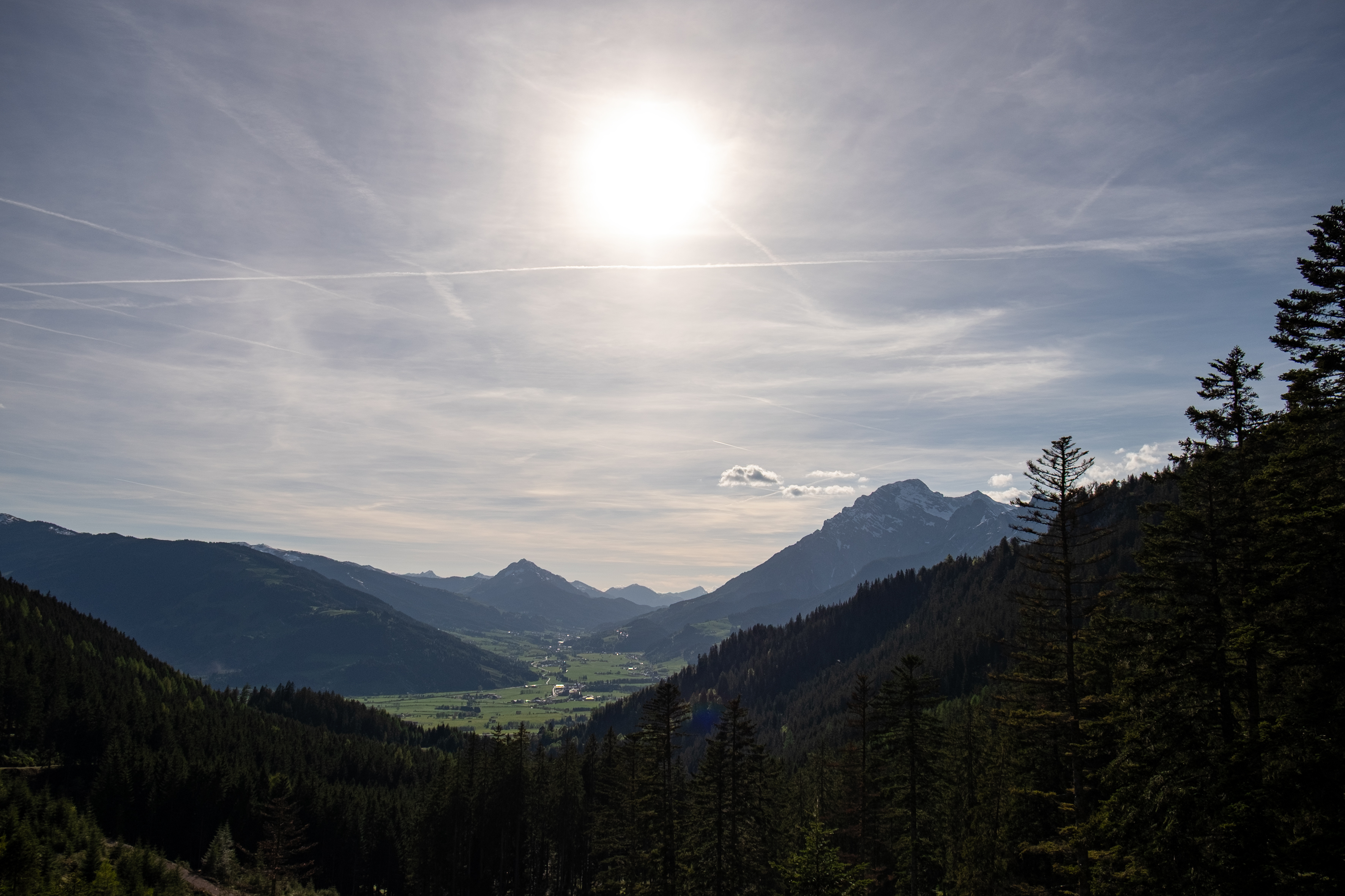 Alpine Herkunft