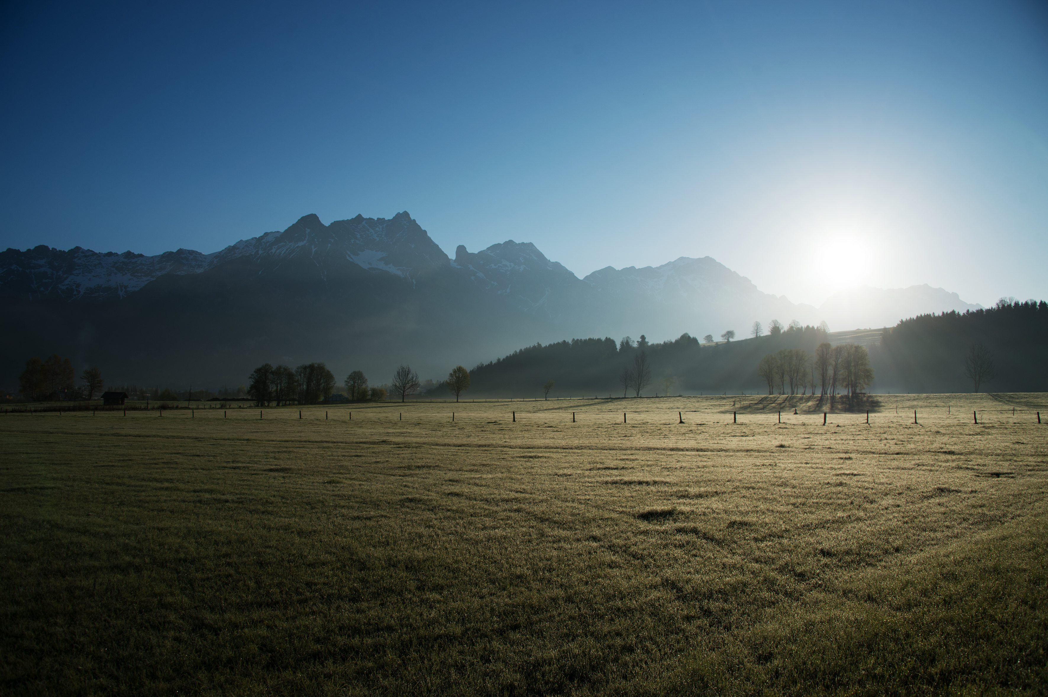 Nebelverhangene Almwiese im Salzburger Land bei Sonnenaufgang
